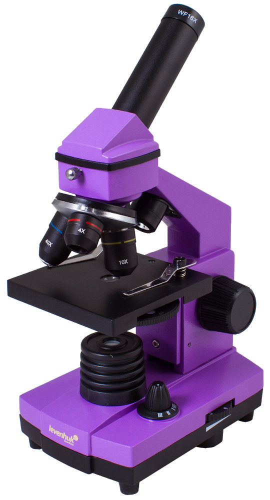 Микроскоп LEVENHUK Rainbow 2L PLUS Amethyst/Аметист
